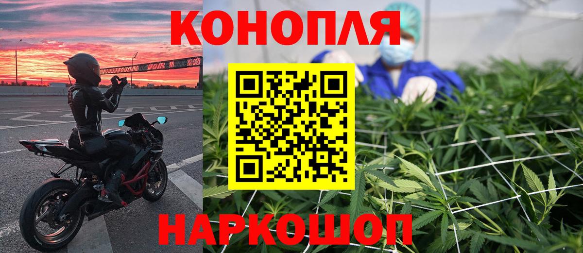 Канабис семена Энгельс